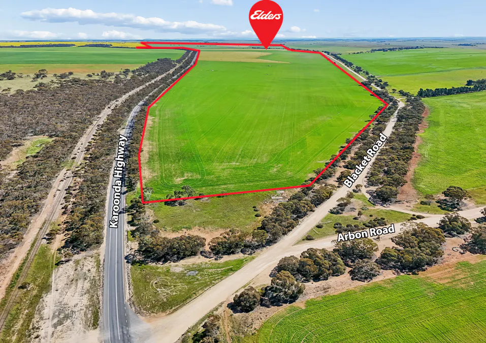 395 Blacket Road, Wynarka, SA, 5306 - Image 8