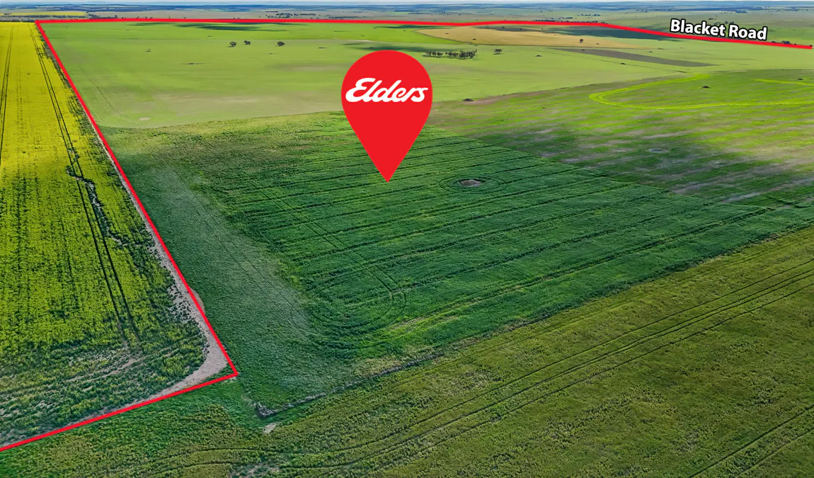 395 Blacket Road, Wynarka, SA, 5306 - Image 11
