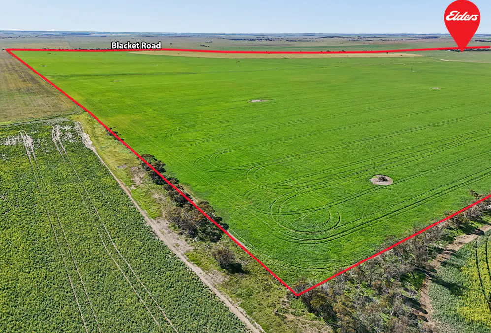 395 Blacket Road, Wynarka, SA, 5306 - Image 9