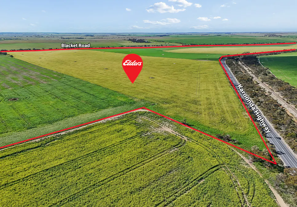 395 Blacket Road, Wynarka, SA, 5306 - Image 13