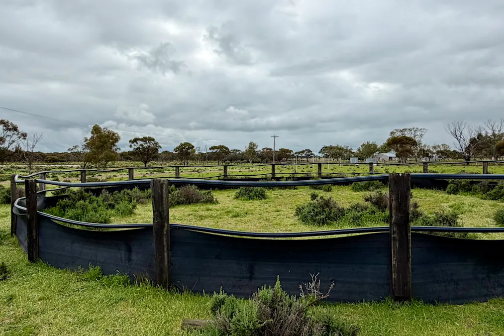 2431 Dowerin-Kalannie Road, Minnivale, WA, 6462 - Image 35