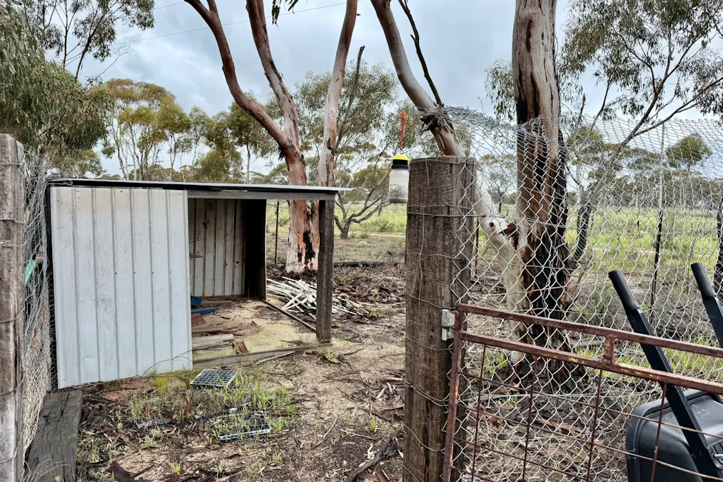 2431 Dowerin-Kalannie Road, Minnivale, WA, 6462 - Image 33