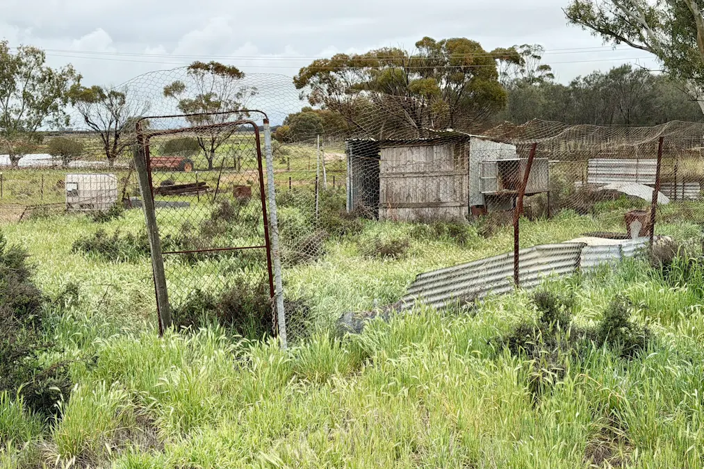 2431 Dowerin-Kalannie Road, Minnivale, WA, 6462 - Image 34