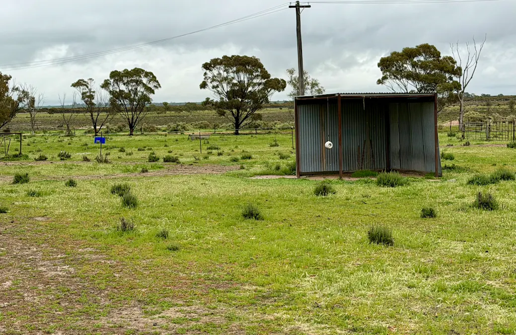 2431 Dowerin-Kalannie Road, Minnivale, WA, 6462 - Image 32