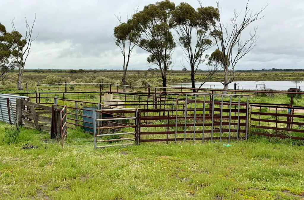 2431 Dowerin-Kalannie Road, Minnivale, WA, 6462 - Image 30