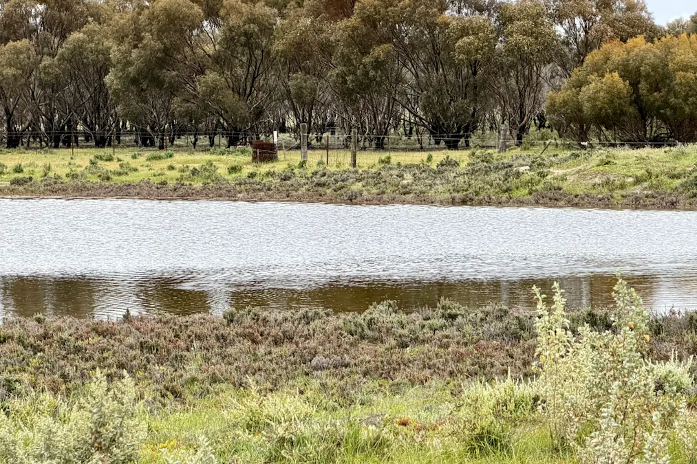 2431 Dowerin-Kalannie Road, Minnivale, WA, 6462 - Image 31