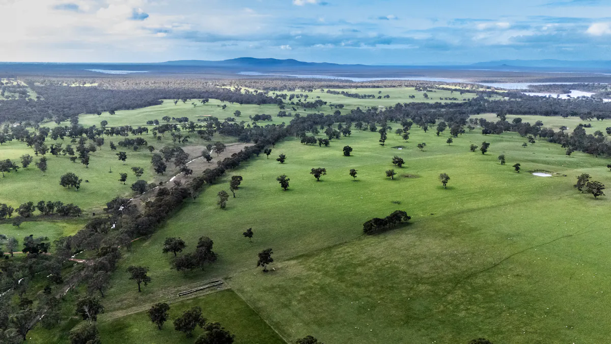 2314 Cavendish-Glendinning Road, Rocklands, VIC, 3401 - Image 24