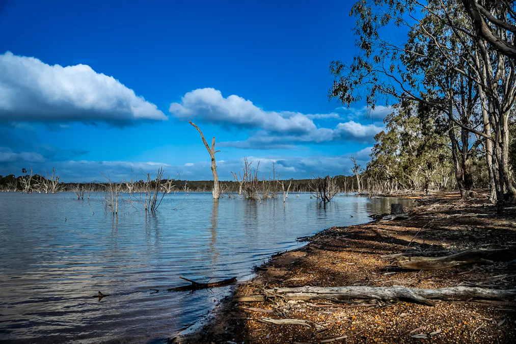 2314 Cavendish-Glendinning Road, Rocklands, VIC, 3401 - Image 30