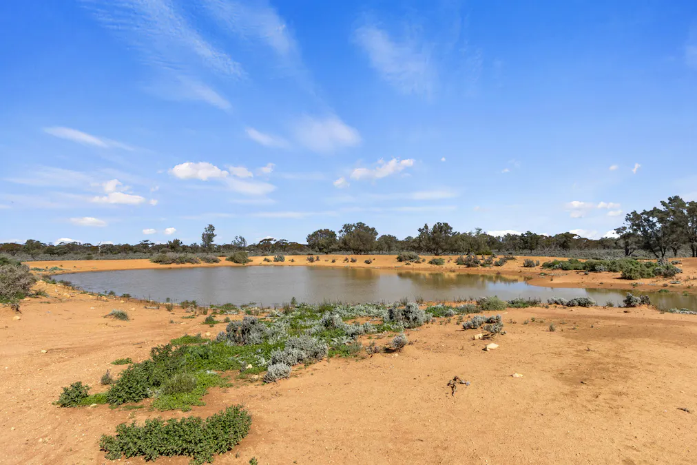 61/Tiger Plains Road, Mount Mary, SA, 5374 - Image 3