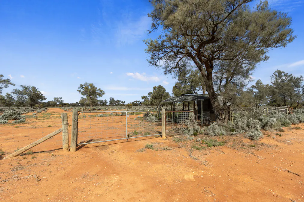 61/Tiger Plains Road, Mount Mary, SA, 5374 - Image 4