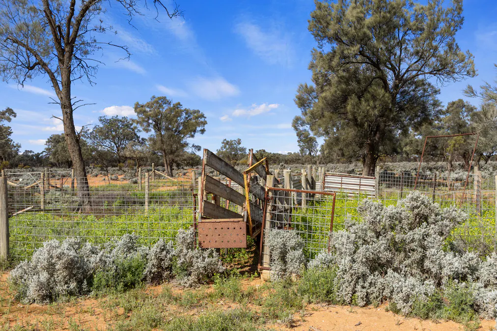 61/Tiger Plains Road, Mount Mary, SA, 5374 - Image 6
