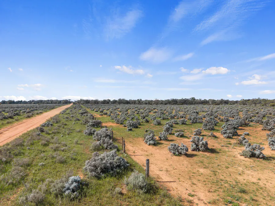 61/Tiger Plains Road, Mount Mary, SA, 5374 - Image 12