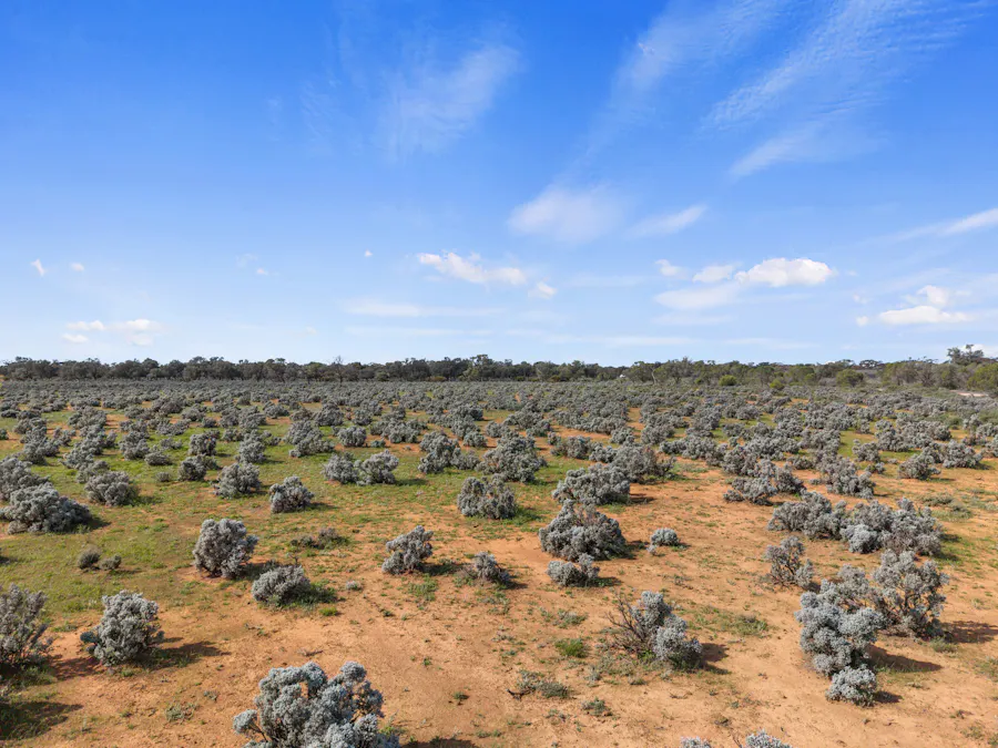 61/Tiger Plains Road, Mount Mary, SA, 5374 - Image 13