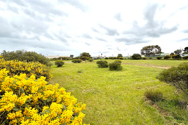 Roberts Road — photo from Elders Real Estate Wudinna