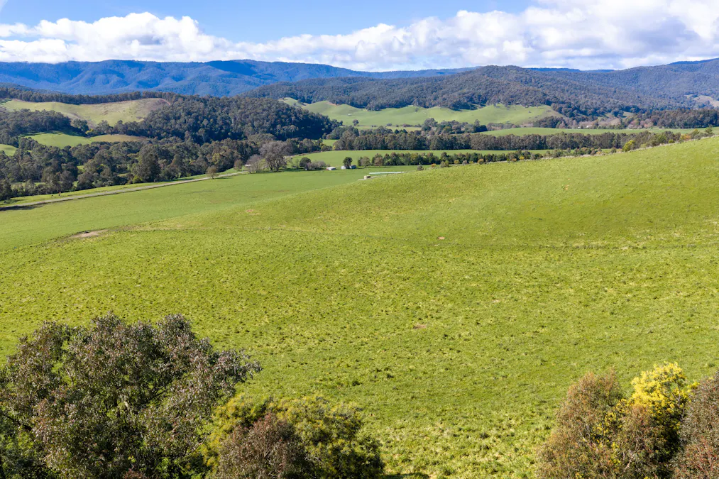 31 Greenham Road, Tallangatta Valley, VIC, 3701 - Image 22