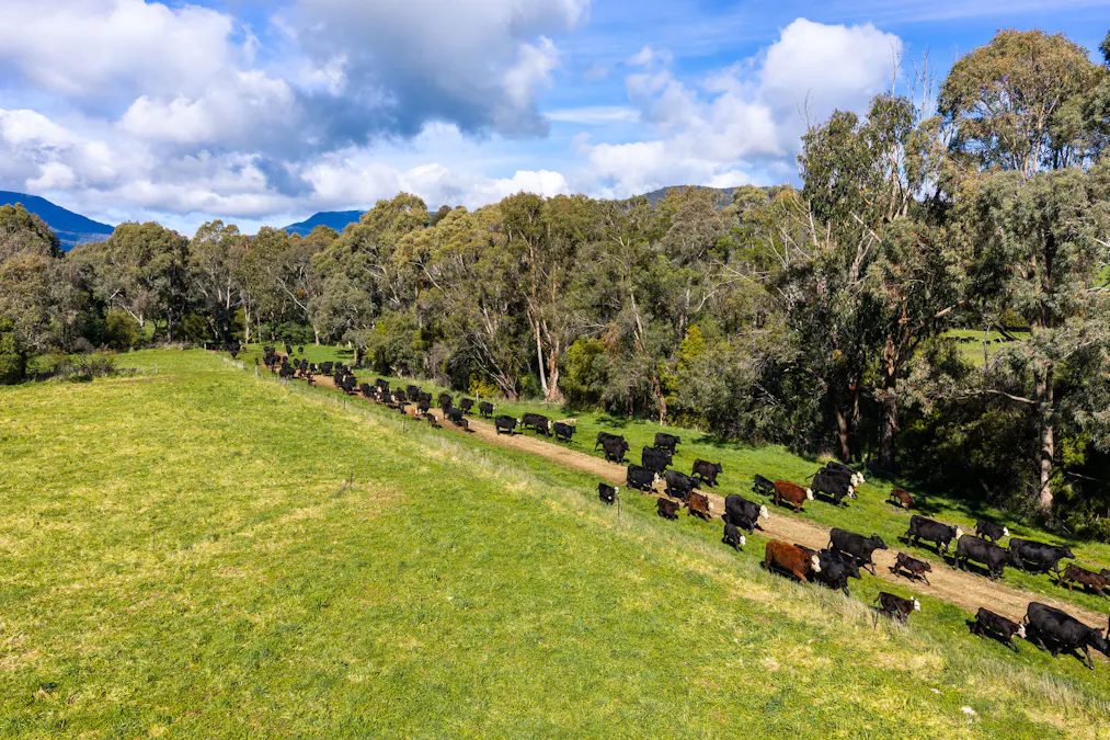 31 Greenham Road, Tallangatta Valley, VIC, 3701 - Image 14