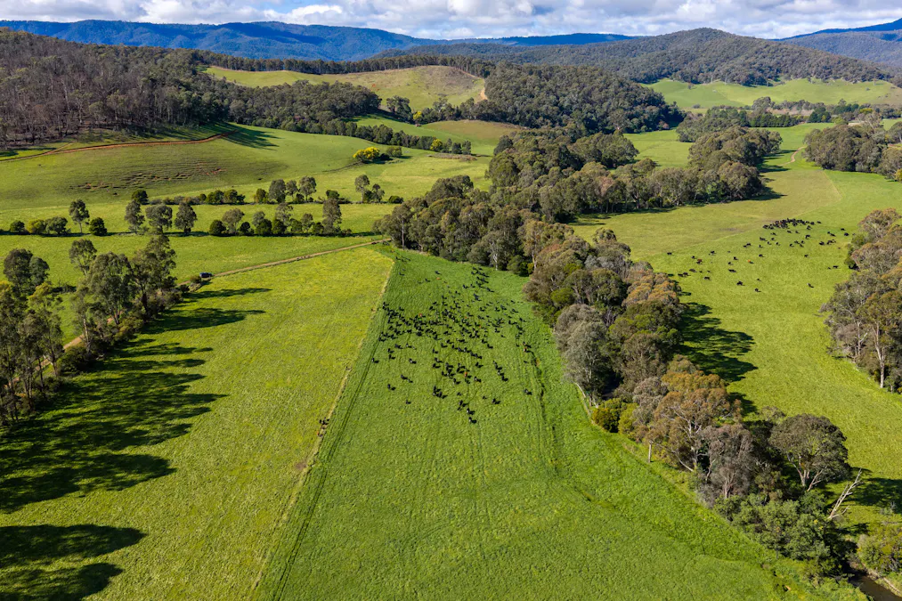 31 Greenham Road, Tallangatta Valley, VIC, 3701 - Image 16