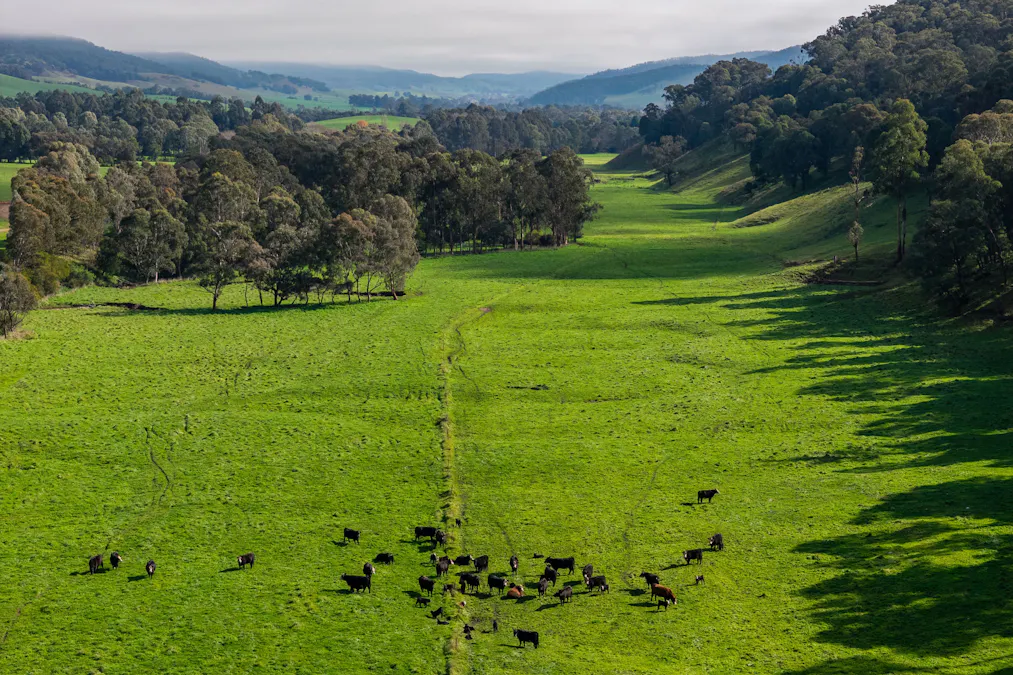 31 Greenham Road, Tallangatta Valley, VIC, 3701 - Image 12