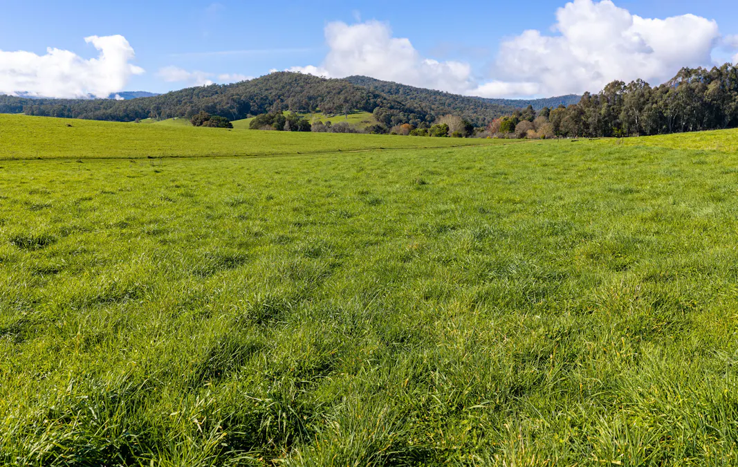 31 Greenham Road, Tallangatta Valley, VIC, 3701 - Image 9