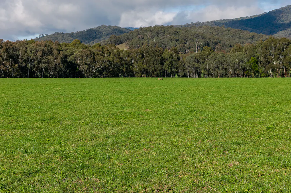 31 Greenham Road, Tallangatta Valley, VIC, 3701 - Image 10