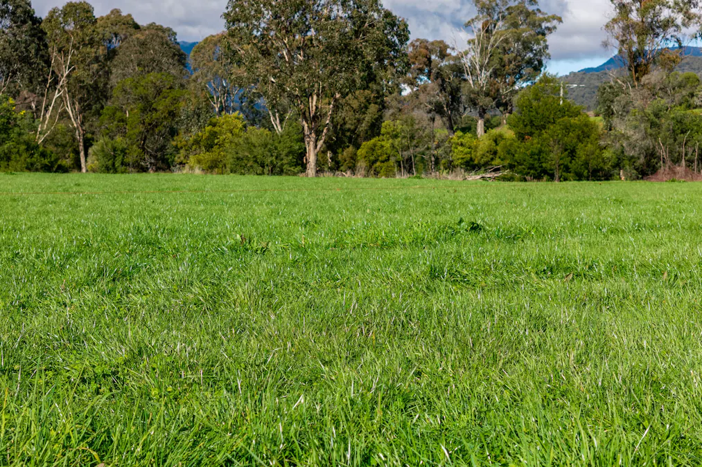 31 Greenham Road, Tallangatta Valley, VIC, 3701 - Image 23