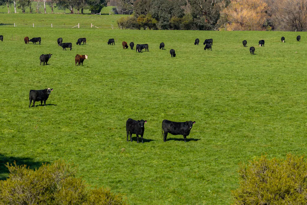 31 Greenham Road, Tallangatta Valley, VIC, 3701 - Image 30