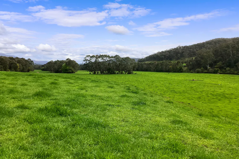 31 Greenham Road, Tallangatta Valley, VIC, 3701 - Image 17