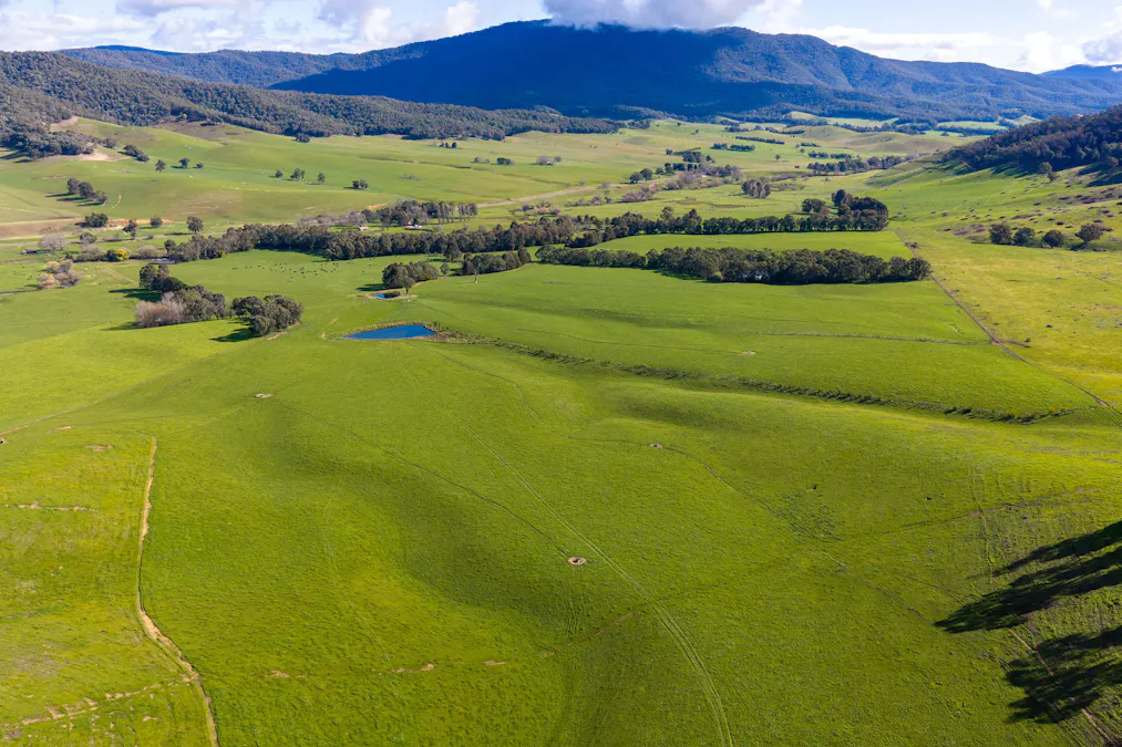31 Greenham Road, Tallangatta Valley, VIC, 3701 - Image 25
