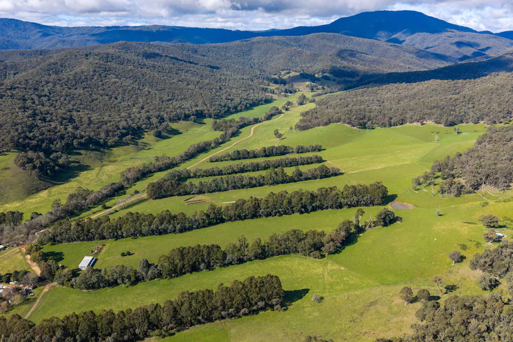 31 Greenham Road, Tallangatta Valley, VIC, 3701 - Image 13