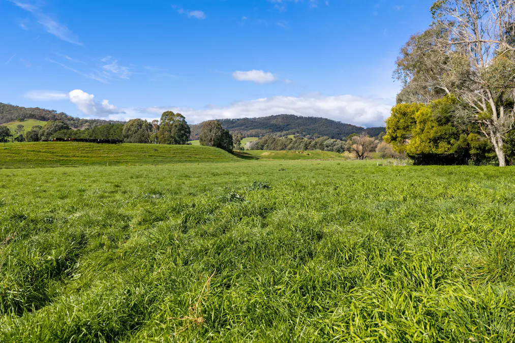 31 Greenham Road, Tallangatta Valley, VIC, 3701 - Image 31
