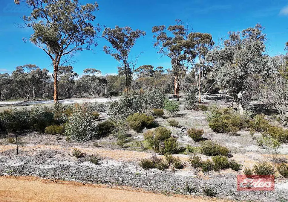 159 & 171 Kelvin Street, Pingelly, WA, 6308 - Image 11