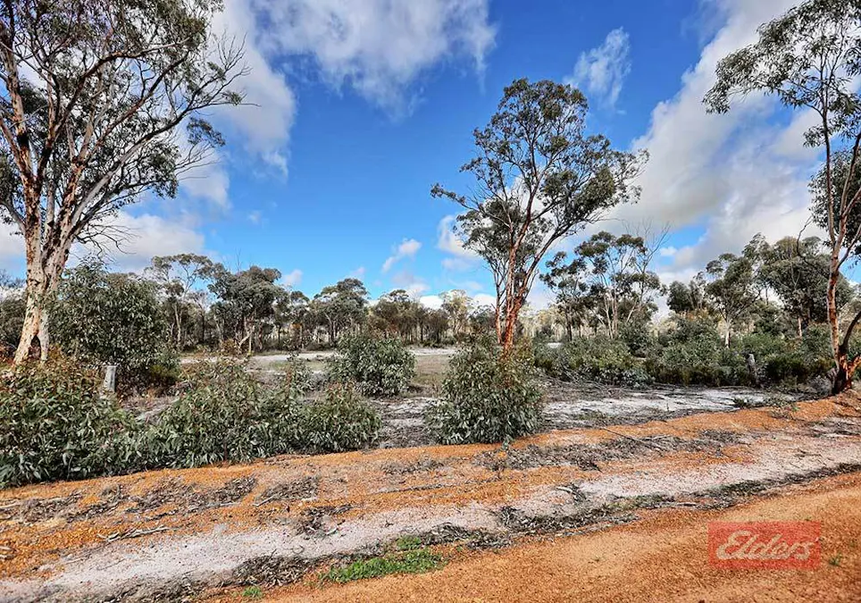 159 & 171 Kelvin Street, Pingelly, WA, 6308 - Image 5