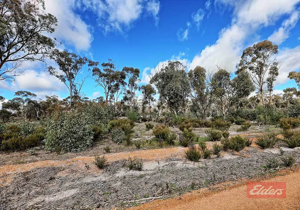 159 & 171 Kelvin Street, Pingelly, WA, 6308 - Image 6