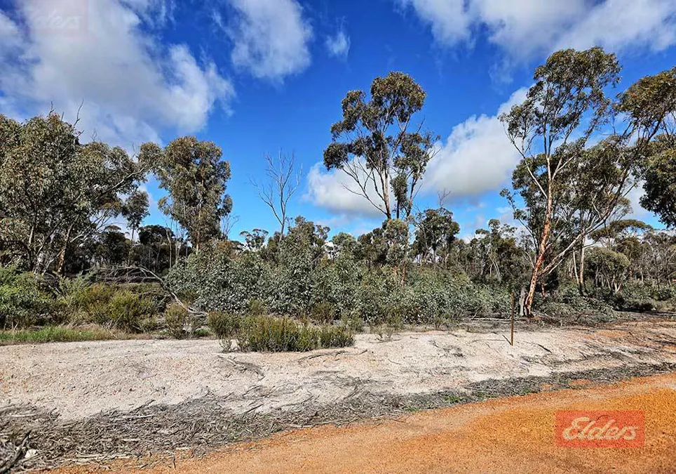 159 & 171 Kelvin Street, Pingelly, WA, 6308 - Image 7