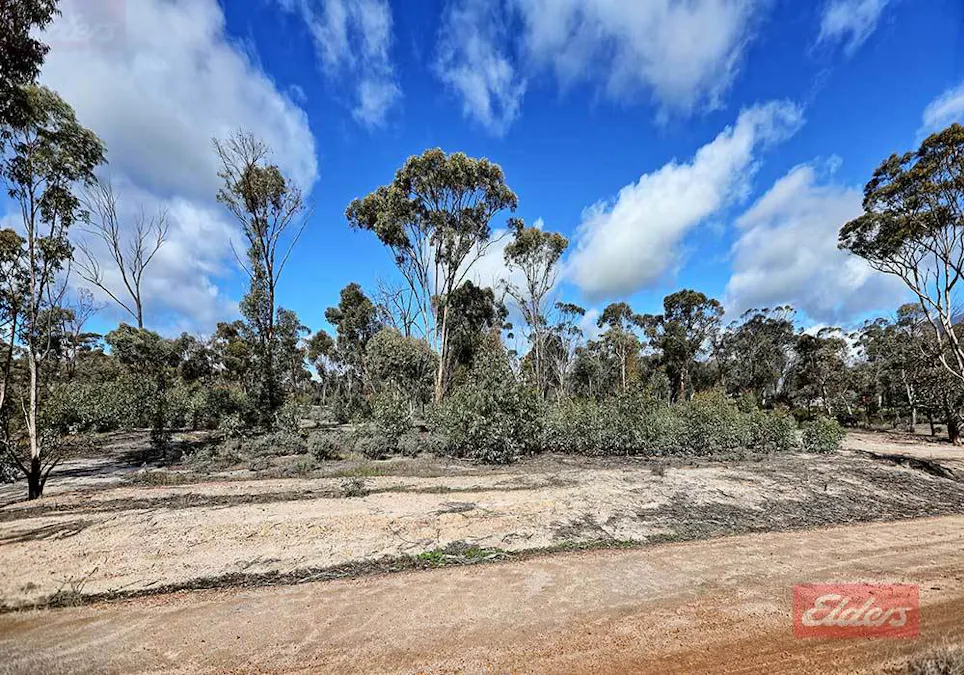 159 & 171 Kelvin Street, Pingelly, WA, 6308 - Image 12