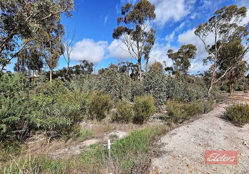 159 & 171 Kelvin Street, Pingelly, WA, 6308 - Image 13