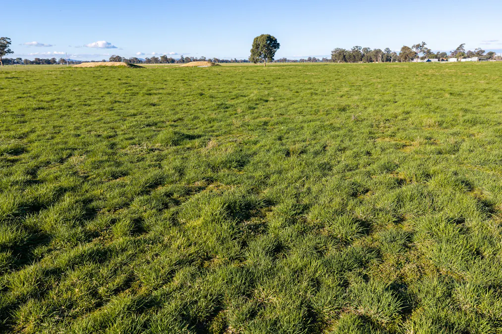 Henty-Walla Road, Culcairn, NSW, 2660 - Image 14