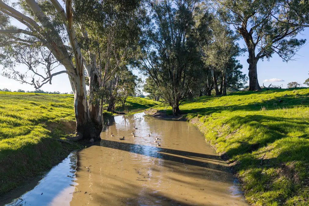 Henty-Walla Road, Culcairn, NSW, 2660 - Image 6