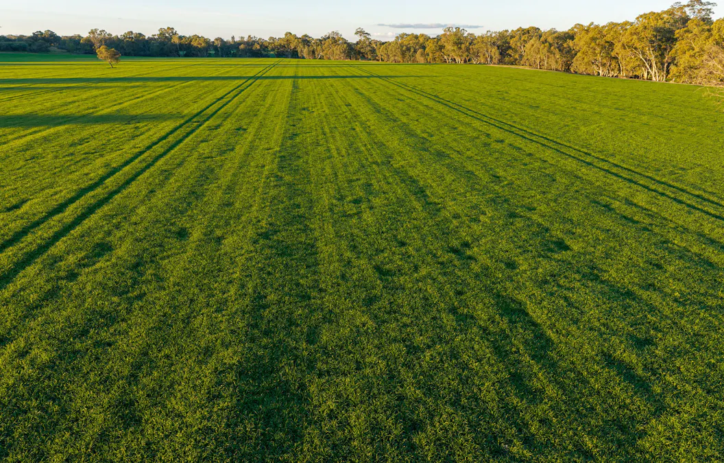 Henty-Walla Road, Culcairn, NSW, 2660 - Image 8