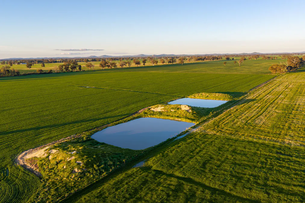 Henty-Walla Road, Culcairn, NSW, 2660 - Image 11