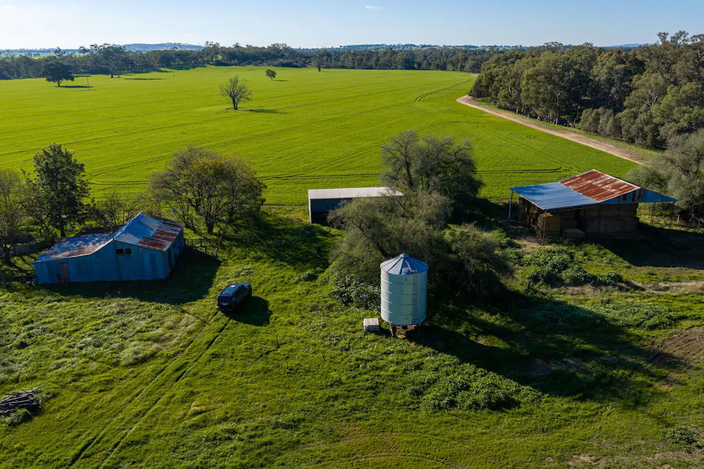 Henty-Walla Road, Culcairn, NSW, 2660 - Image 5