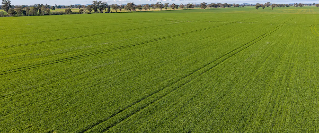 Henty-Walla Road, Culcairn, NSW, 2660 - Image 12