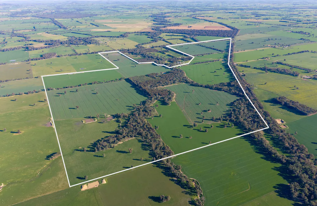 Henty-Walla Road, Culcairn, NSW, 2660 - Image 3