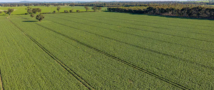 Henty-Walla Road, Culcairn, NSW, 2660
