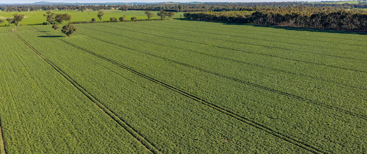 Henty-Walla Road, Culcairn, NSW, 2660 - Image 1