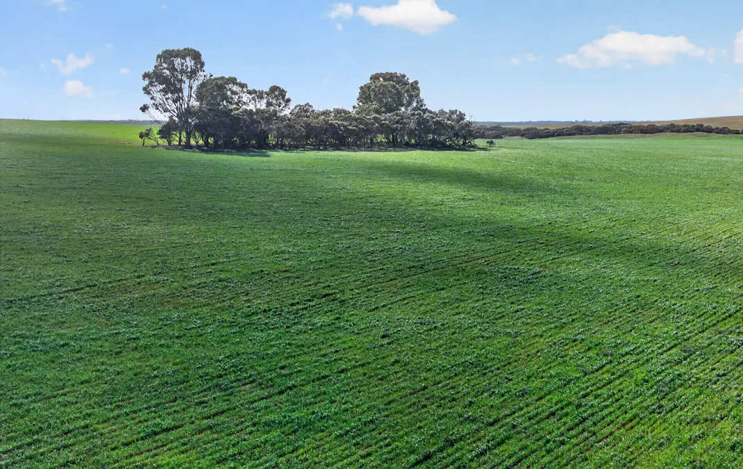 725 Nunkeri Road, Karoonda, SA, 5307 - Image 17