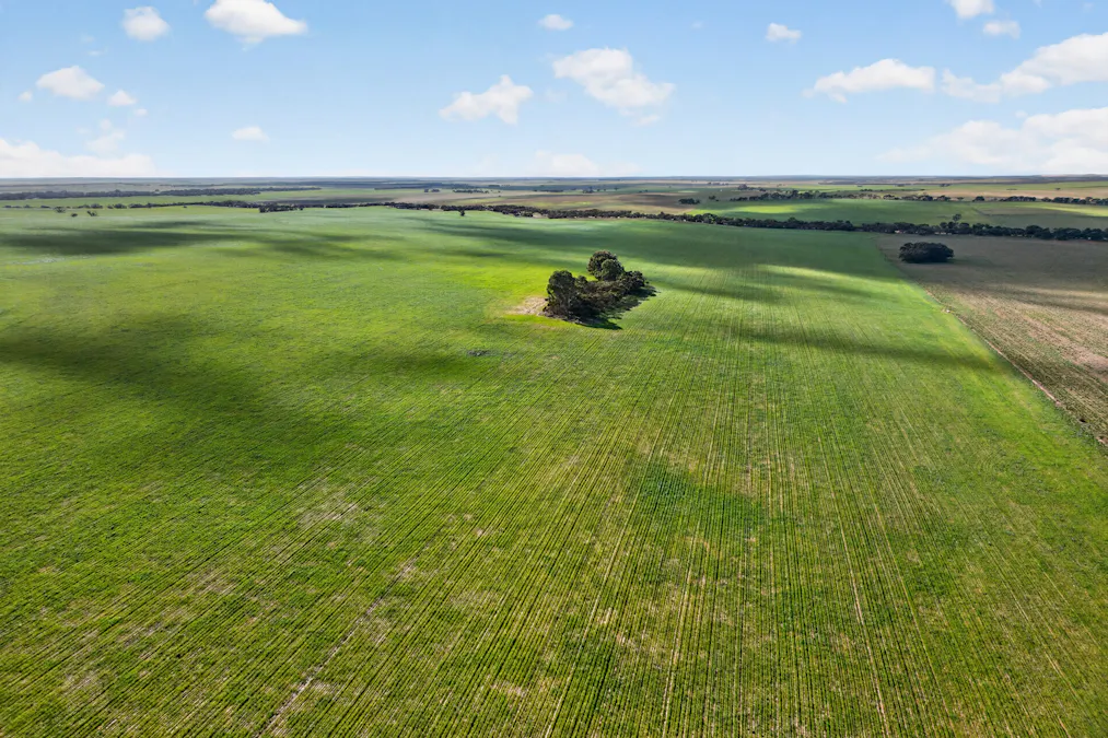 725 Nunkeri Road, Karoonda, SA, 5307 - Image 21