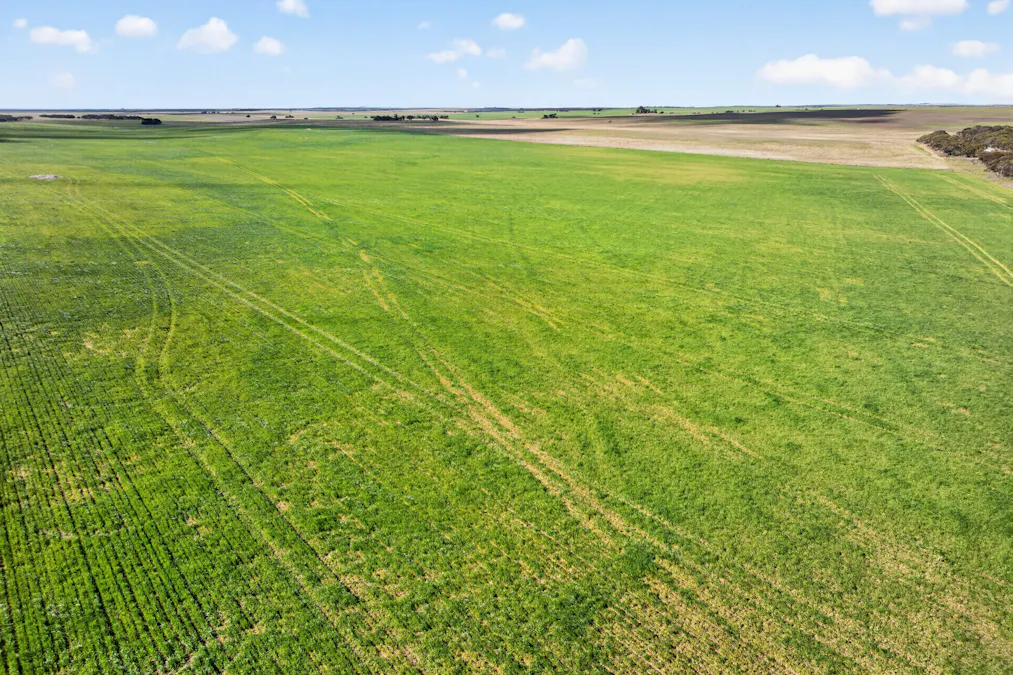 725 Nunkeri Road, Karoonda, SA, 5307 - Image 23