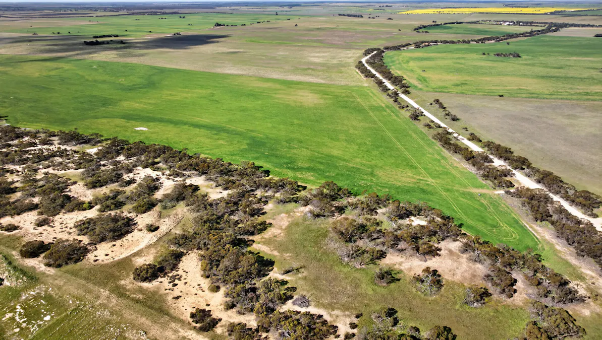 725 Nunkeri Road, Karoonda, SA, 5307 - Image 24