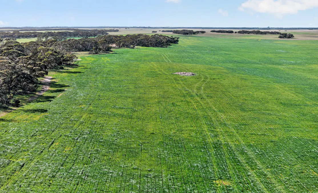 725 Nunkeri Road, Karoonda, SA, 5307 - Image 25